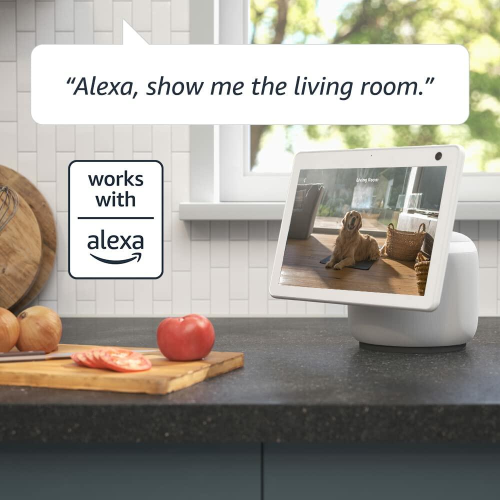 Blink Mini Pan-Tilt Camera (newest model), Works with Alexa (White)