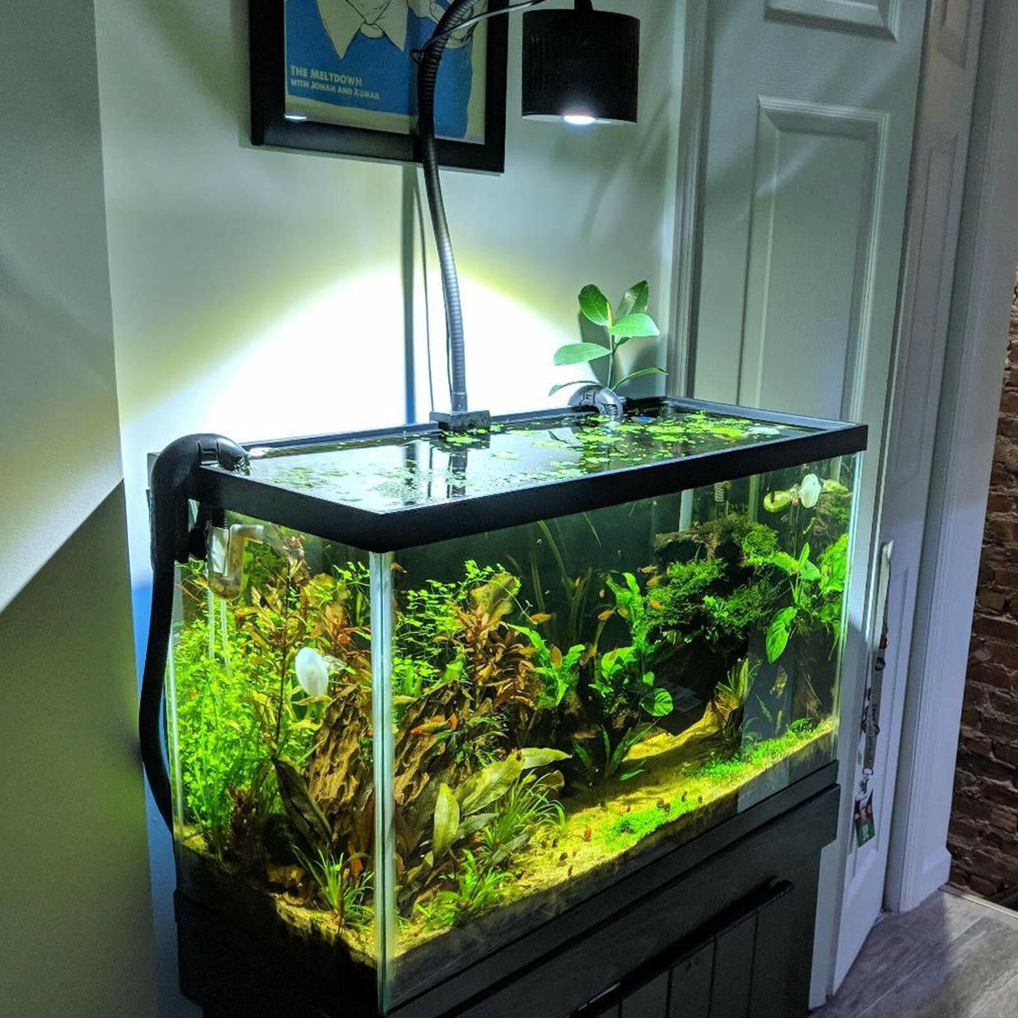Lominie LED Aquarium Light, Remote Control (F120 80W Freshwater)