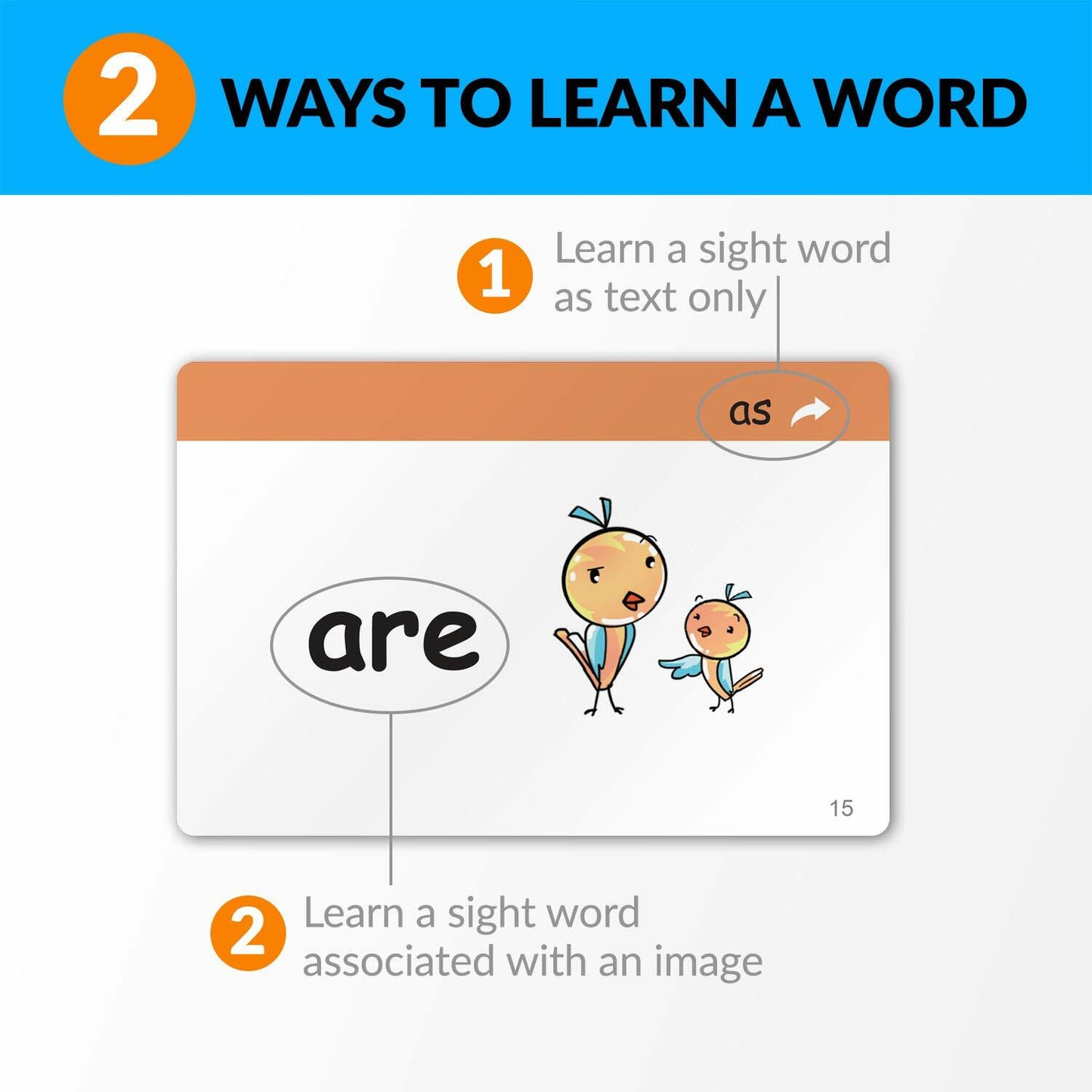 Little Champion 1,000 Sight Word Flashcards PreK-3rd Grade 10-Pack Set
