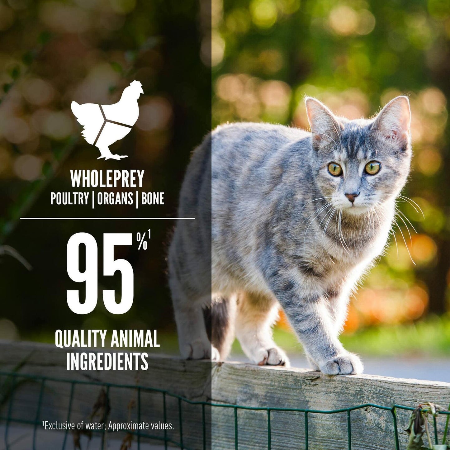BB01/27 ORIJEN Tuna Salmon Beef Adult Wet Cat Food 3oz Case of 24 WholePrey