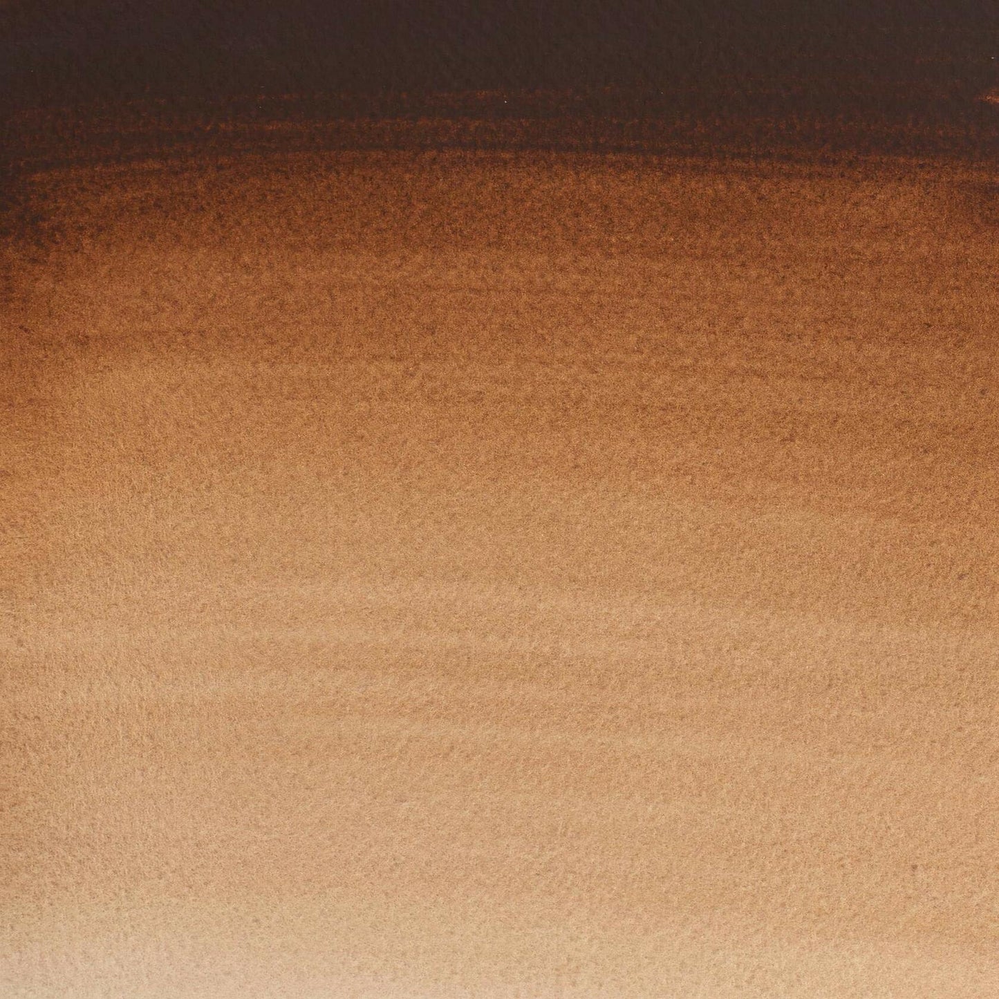 Winsor & Newton Cotman Watercolor Paint Half Pan Burnt Umber 1/2 Pan