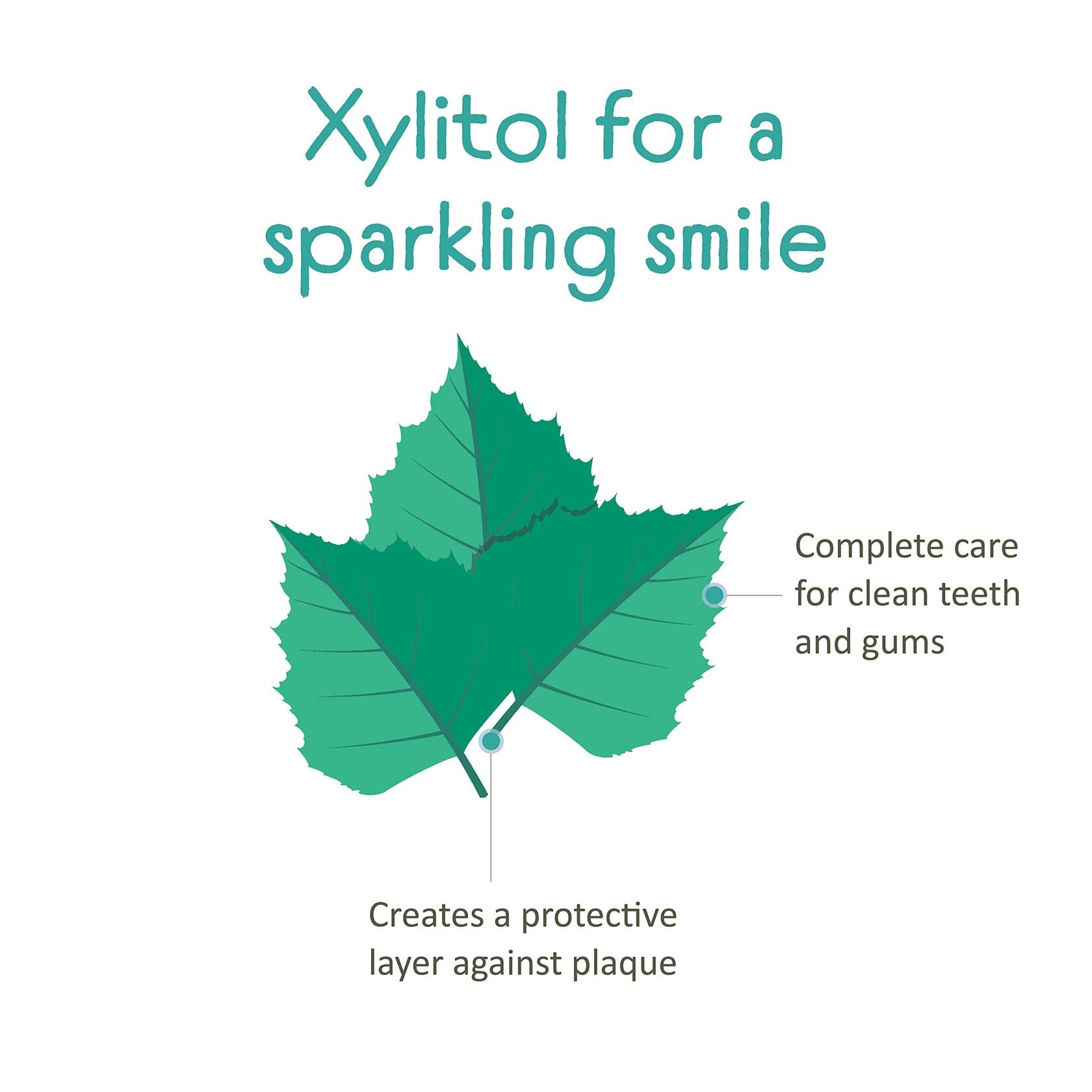 Himalaya Botanique Kids Toothpaste 4oz Cool Mint Fluoride-Free Vegan SLS Free