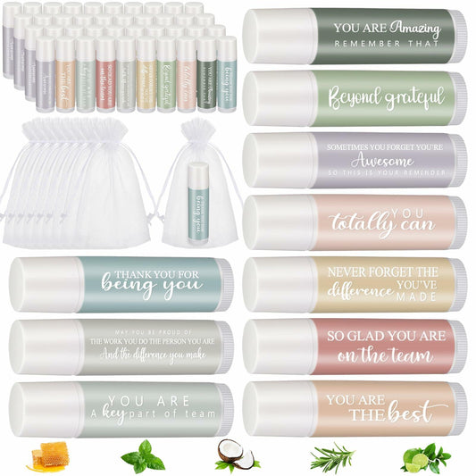 Dansib Lip Balm 100 Sets Bulk Employee Appreciation Gifts Moisturizing