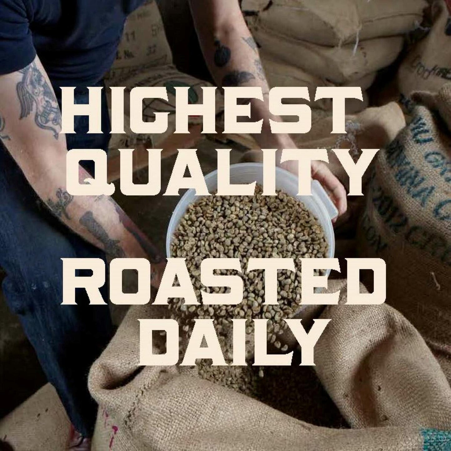 Stumptown Holler Mountain Organic Whole Bean Coffee 18oz Medium Roast