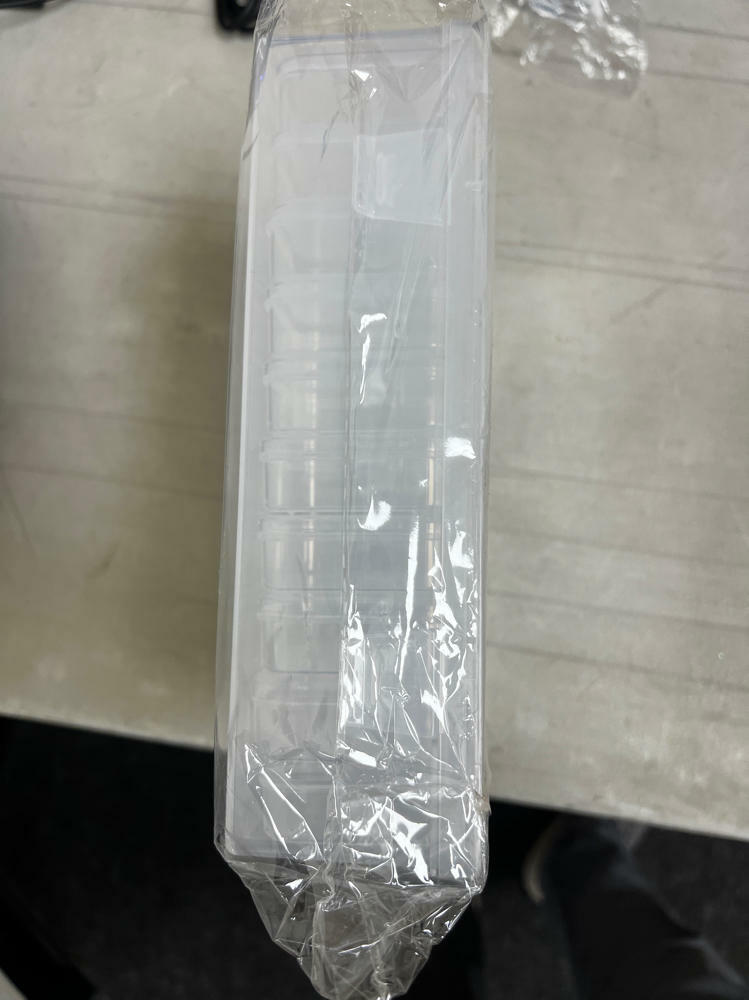 WLLHYF 31pcs Clear Plastic Bead Storage Containers Organizer Box Hinged Lid