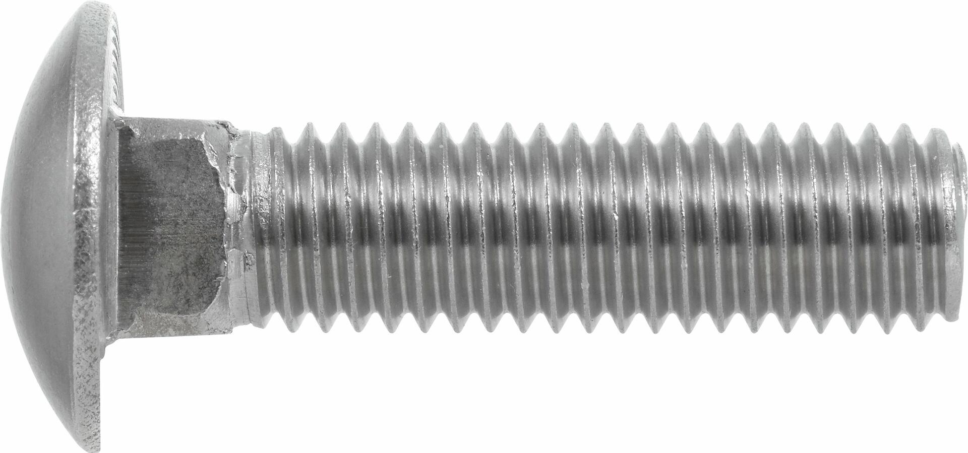 Hillman 3492 Stainless Steel Carriage Bolt 1/4-20 x 1-1/4 Inch, 10-Pack