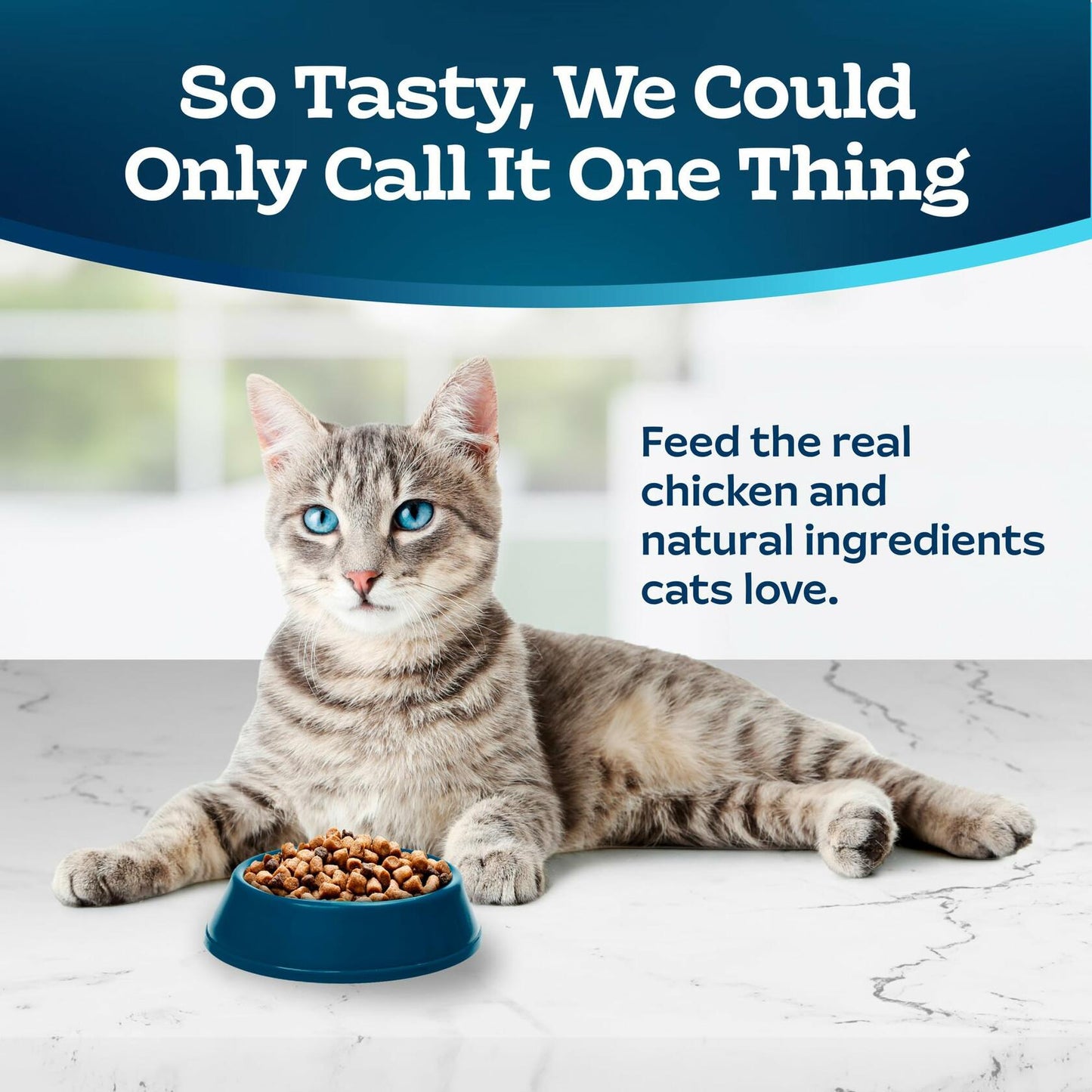 BB01/25 Blue Buffalo Tastefuls Cat Food 3lb Chicken Brown Rice Natural Dry