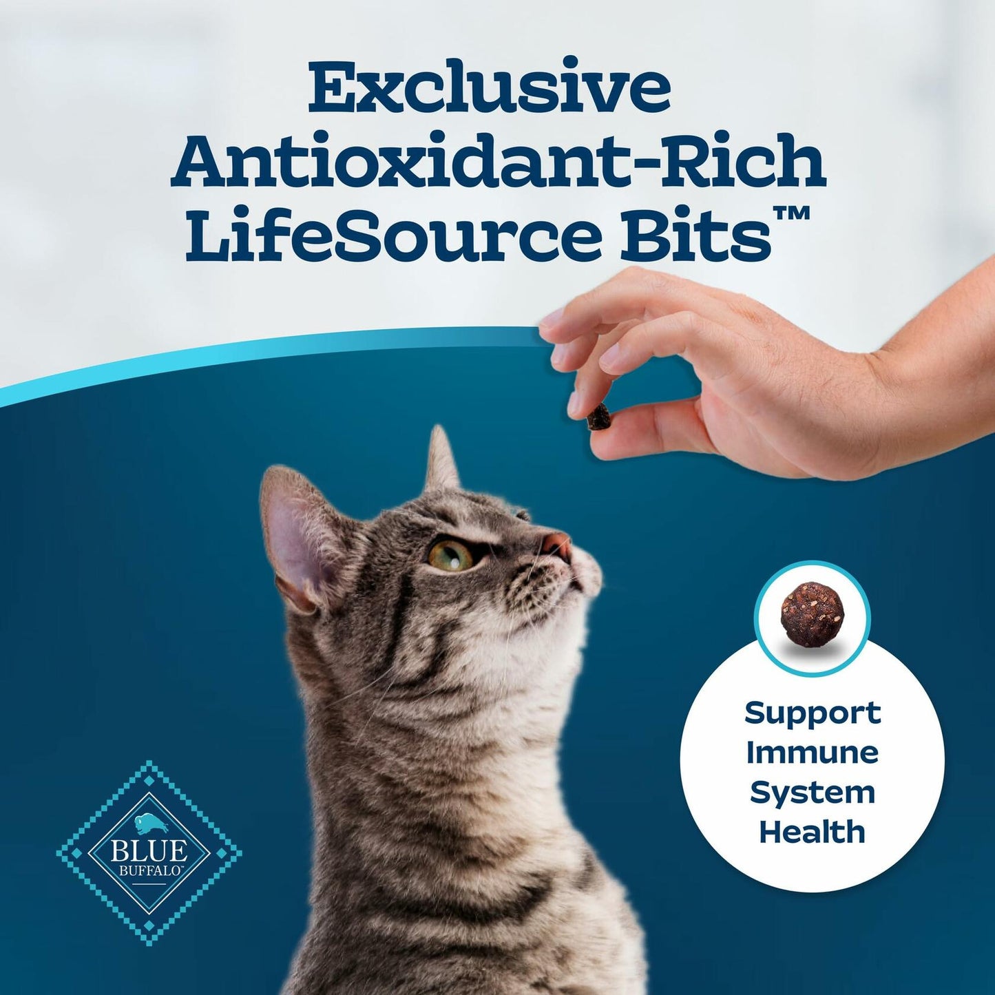 BB01/25 Blue Buffalo Tastefuls Cat Food 3lb Chicken Brown Rice Natural Dry