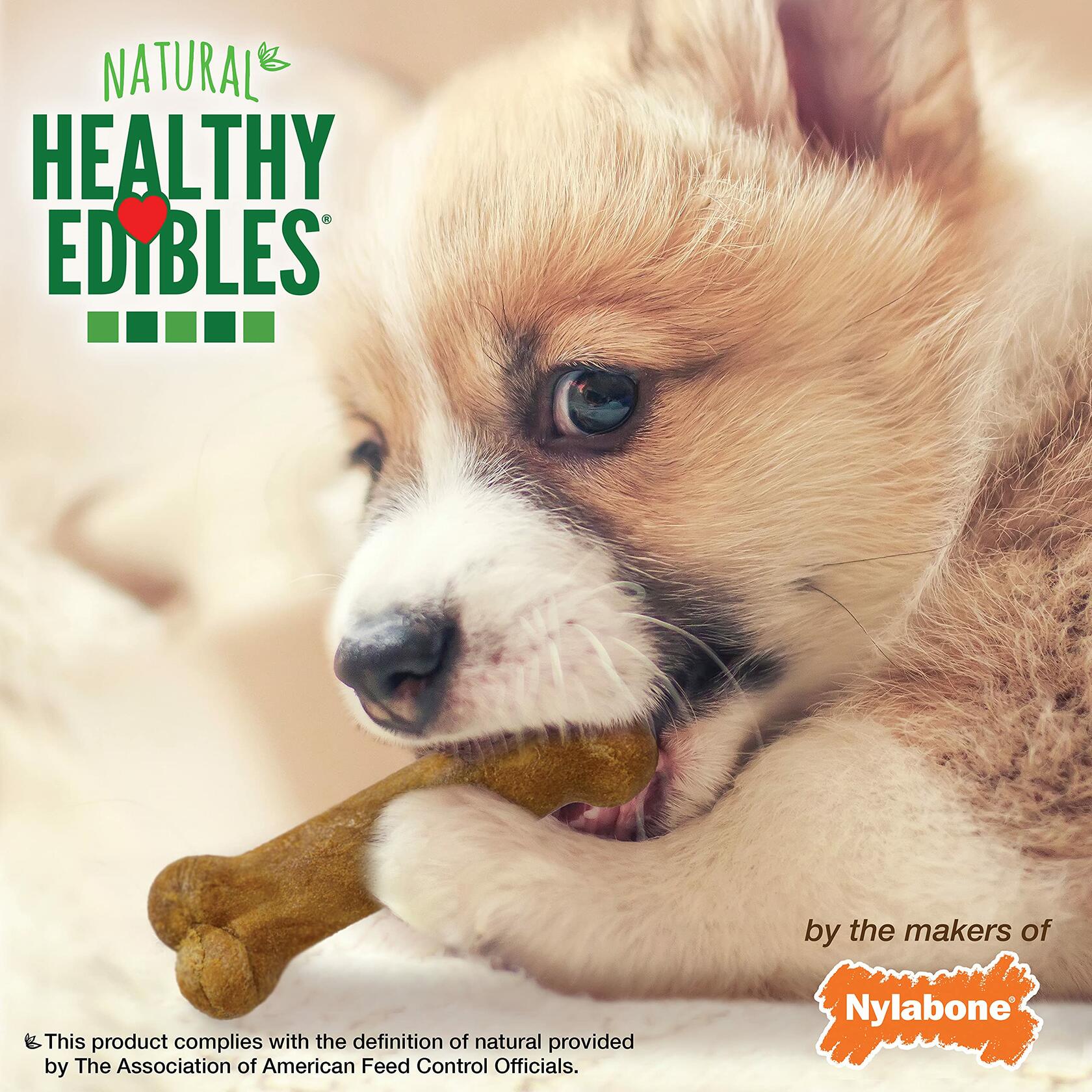 BestBy07/27 Nylabone Healthy Edibles Puppy Chews X-Small 3 Count Roast Beef