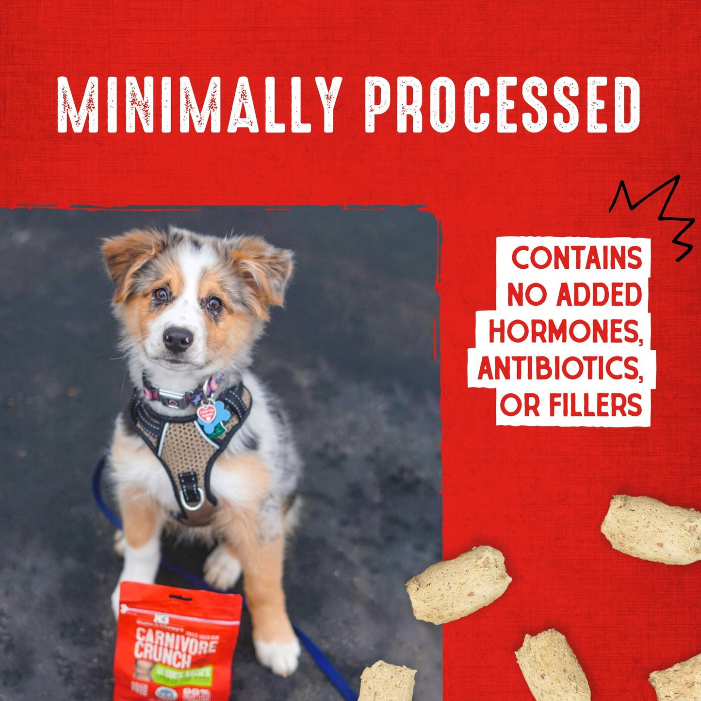 BestBy01/25 Stella & Chewy's Carnivore Crunch Dog Treats Chicken 3.25oz Bag