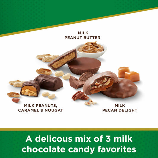 BB07/25 RSC 15.5oz SF Assorted Chocolate with Nuts Gusset Bag