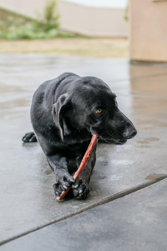 BB08/26 Best Pet Supplies GigaBite 6in Beef Jerky Sticks 40 Pack - Natural