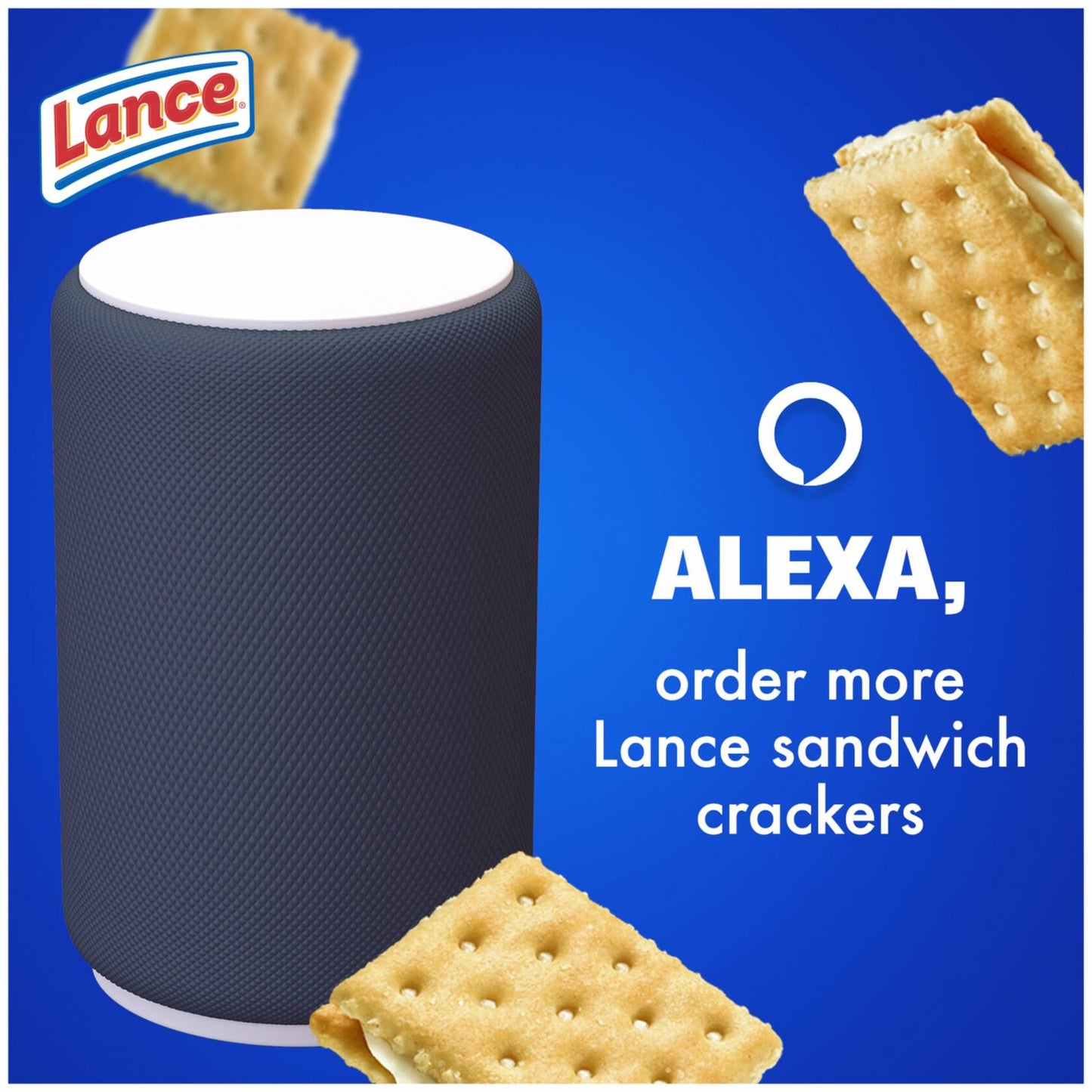 BB12/24 Lance Captain's Wafers White Cheddar Sandwich Crackers 10 Packs 6ct