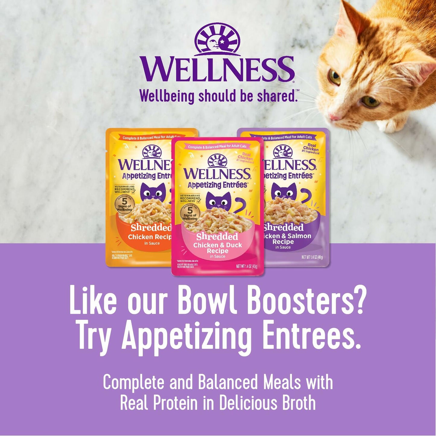 BestBy01/25 Wellness Bowl Boosters Cat Food Topper Tuna & Shrimp 1.75oz Pack 12