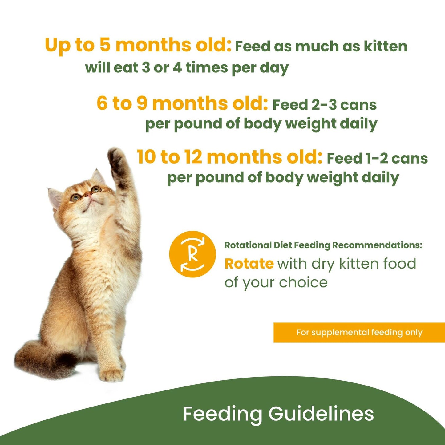 BestBy05/25 almo nature HQS Kitten Food Chicken Recipe in Broth 2.47oz Pack of