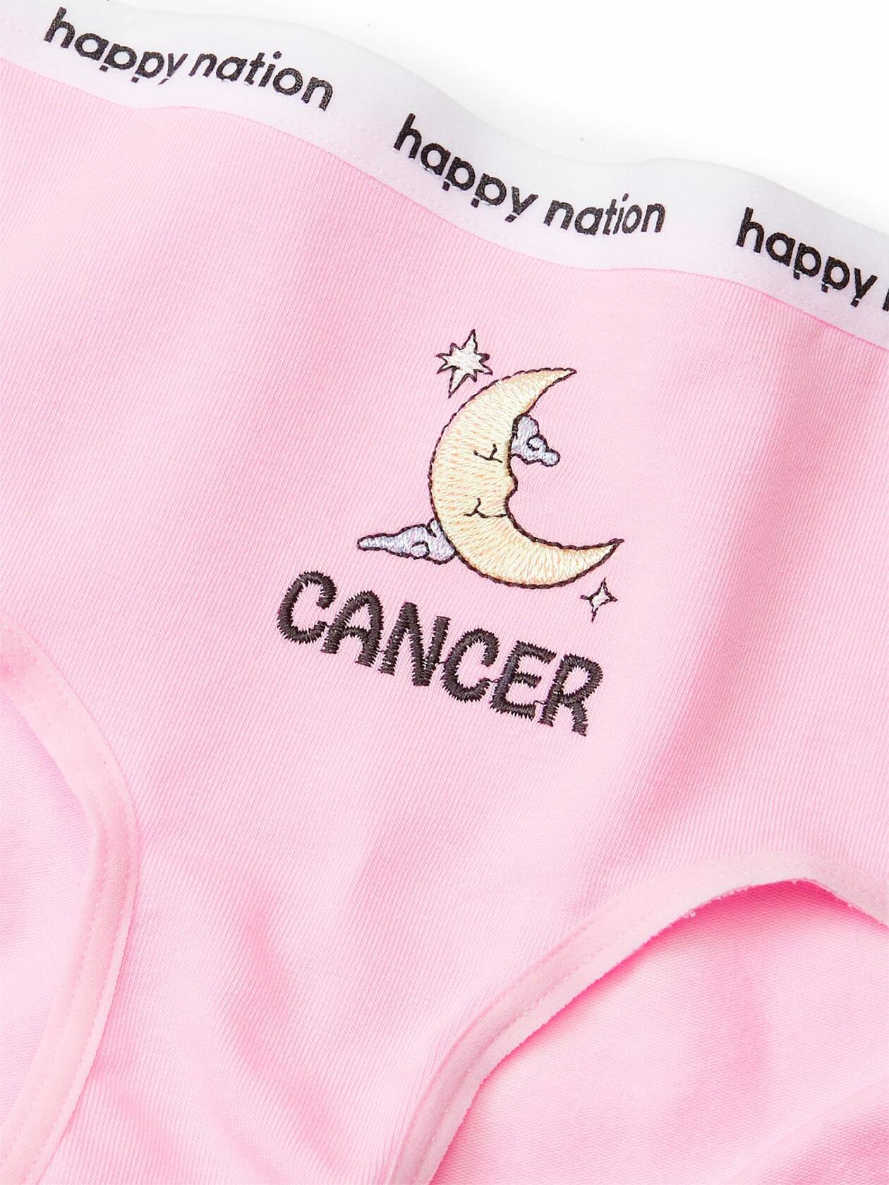 Happy Nation Girls Comfy Cotton Logo Hipster Underwear Large Cupid Pink