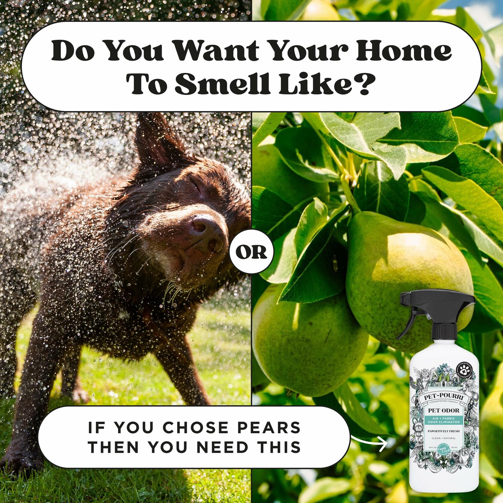 Pet-Pourri Pawsitively Fresh Pet Deodorizer Candle 7.5oz Vet Approved