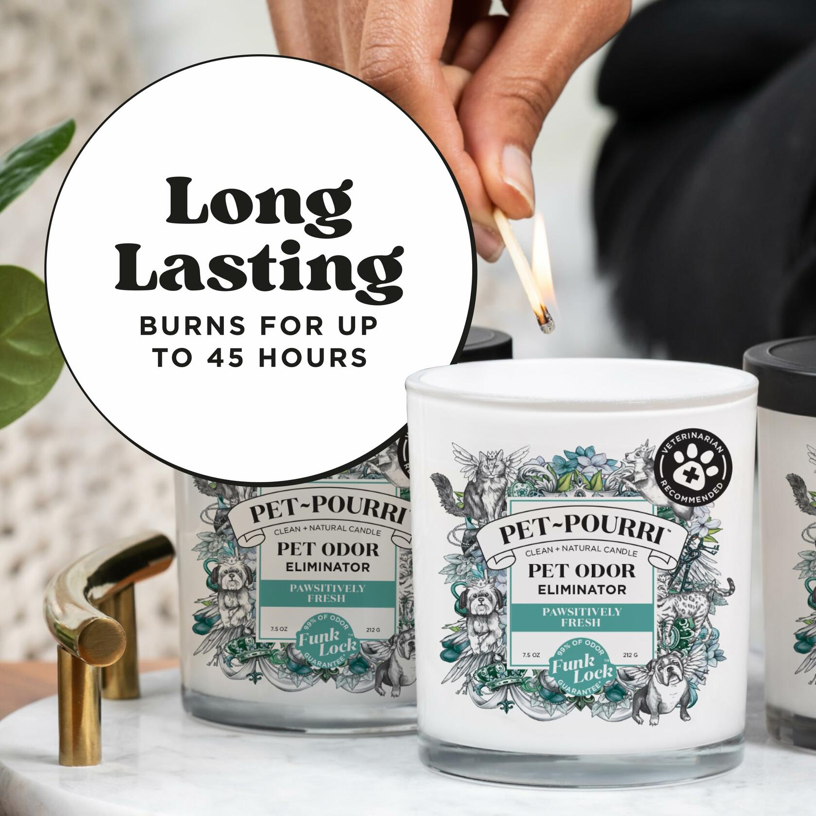 Pet-Pourri Pawsitively Fresh Pet Deodorizer Candle 7.5oz Vet Approved