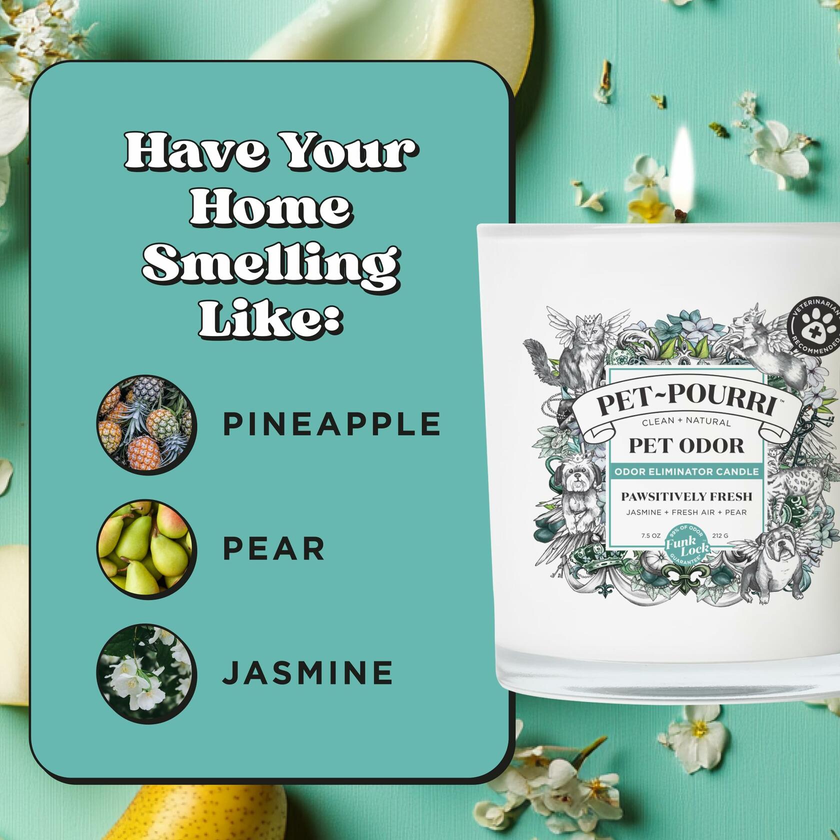 Pet-Pourri Pawsitively Fresh Pet Deodorizer Candle 7.5oz Vet Approved