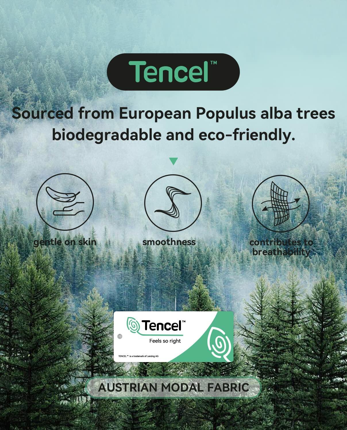 Reshinee Organic Micro Modal Women's Full Briefs 3 Pack Soft Breathable Panties