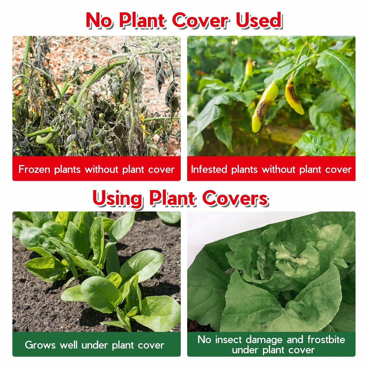 Scettar Plant Covers 2 Pack 6.6x16.5Ft Frost Protection Outdoor Garden Cover