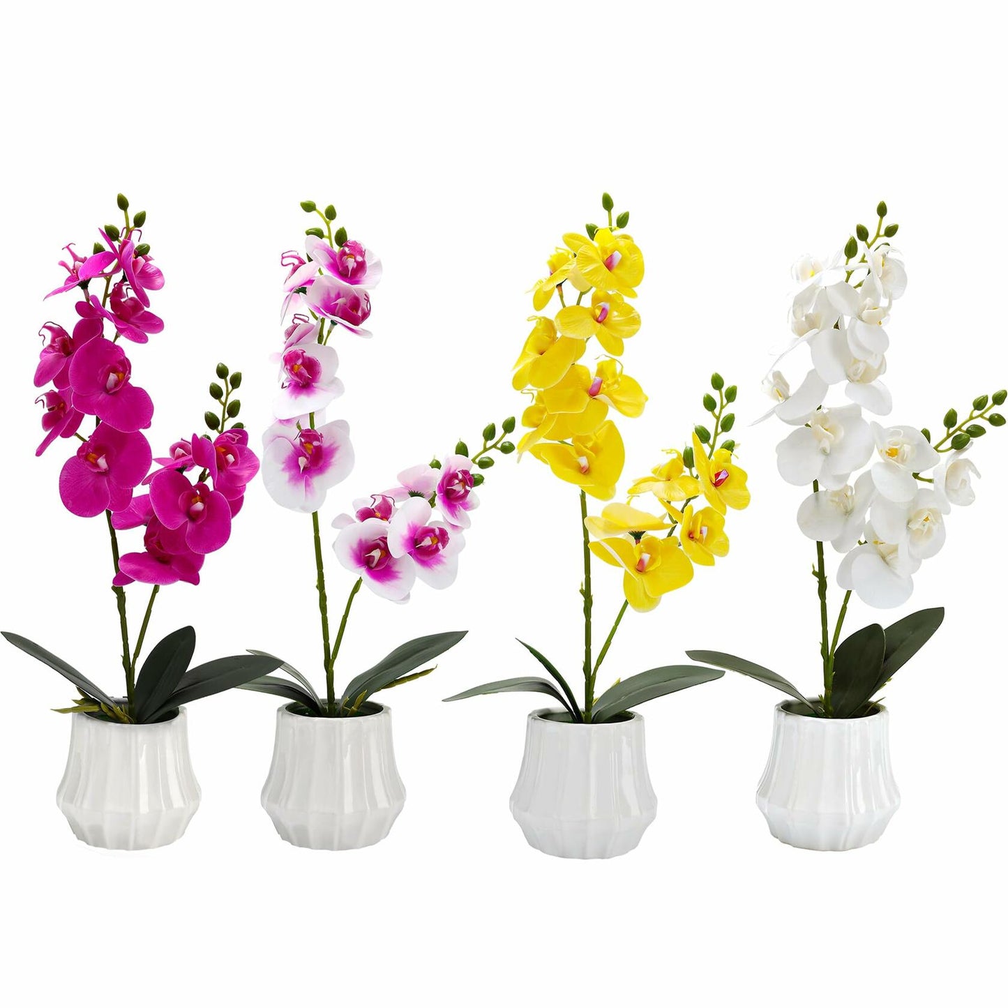 Angerlo 13" White Artificial Butterfly Orchid Ceramic Vase Decor