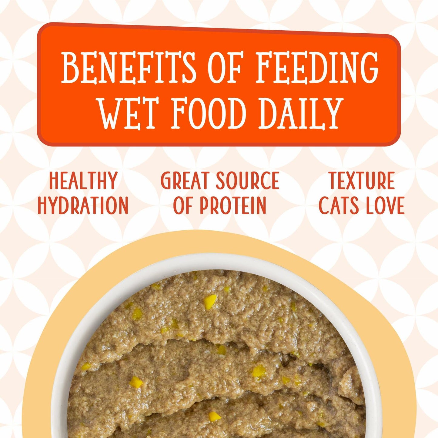 BB04/27 Weruva Cats in The Kitchen Paté Chicken & Pumpkin 3oz 12pk