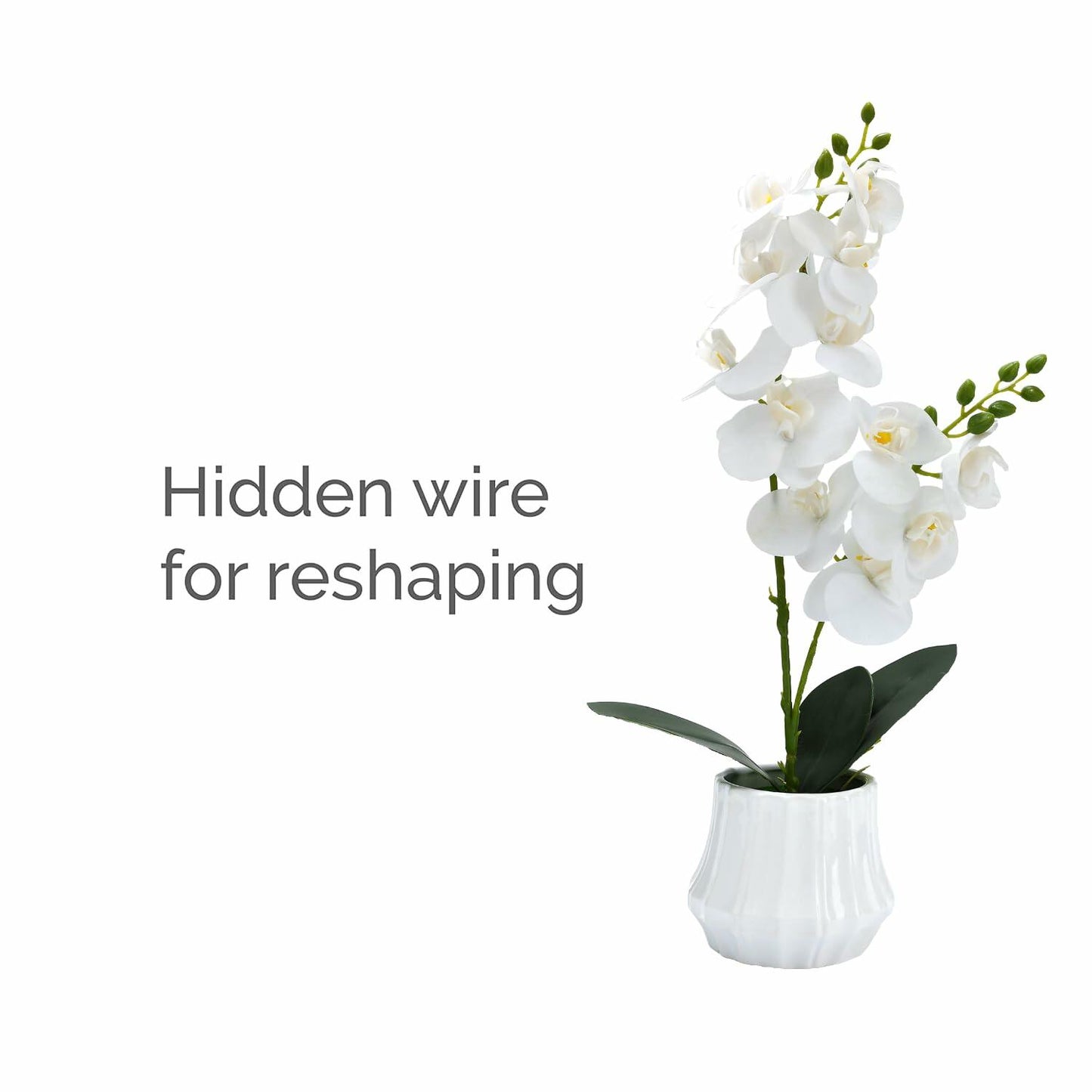 Angerlo 13" White Artificial Butterfly Orchid Ceramic Vase Decor