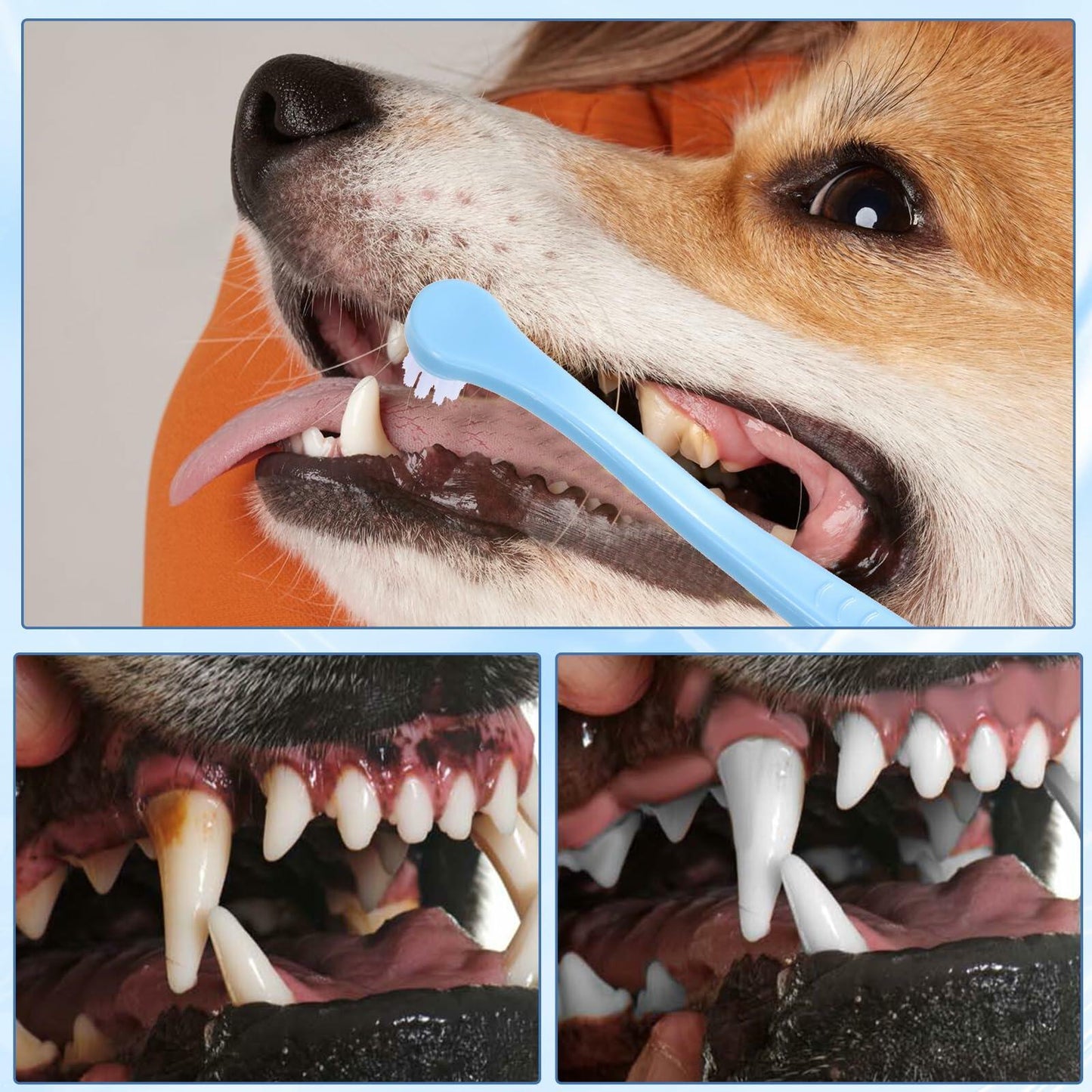 Dog Toothbrush 2 Pack Mini Head Soft Bristles Dental Care Kit Portable