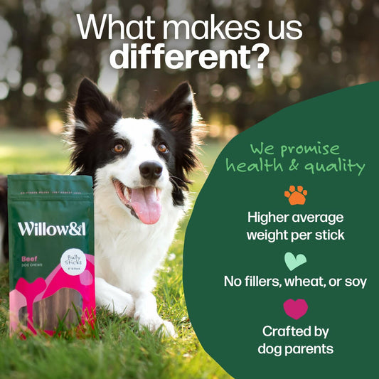 Willow & I 6" Natural Bully Sticks for Dogs Medium Large Small 6 Pack