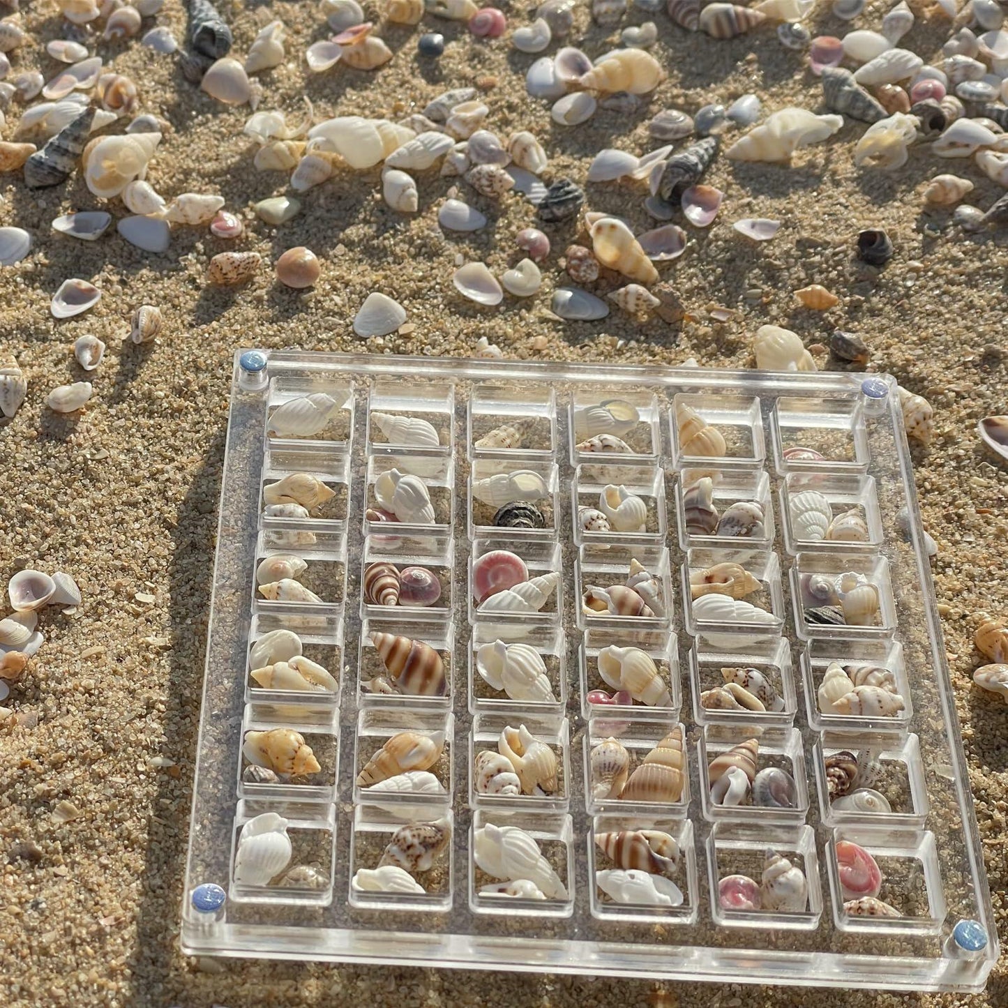GKBYN Acrylic Shell Storage Box Display Cabinet Transparent Small