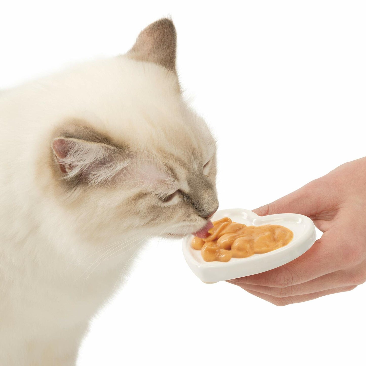 BestBy06/25 Catit Creamy Lickable Cat Treat Salmon 5-Pack Hydrating Healthy