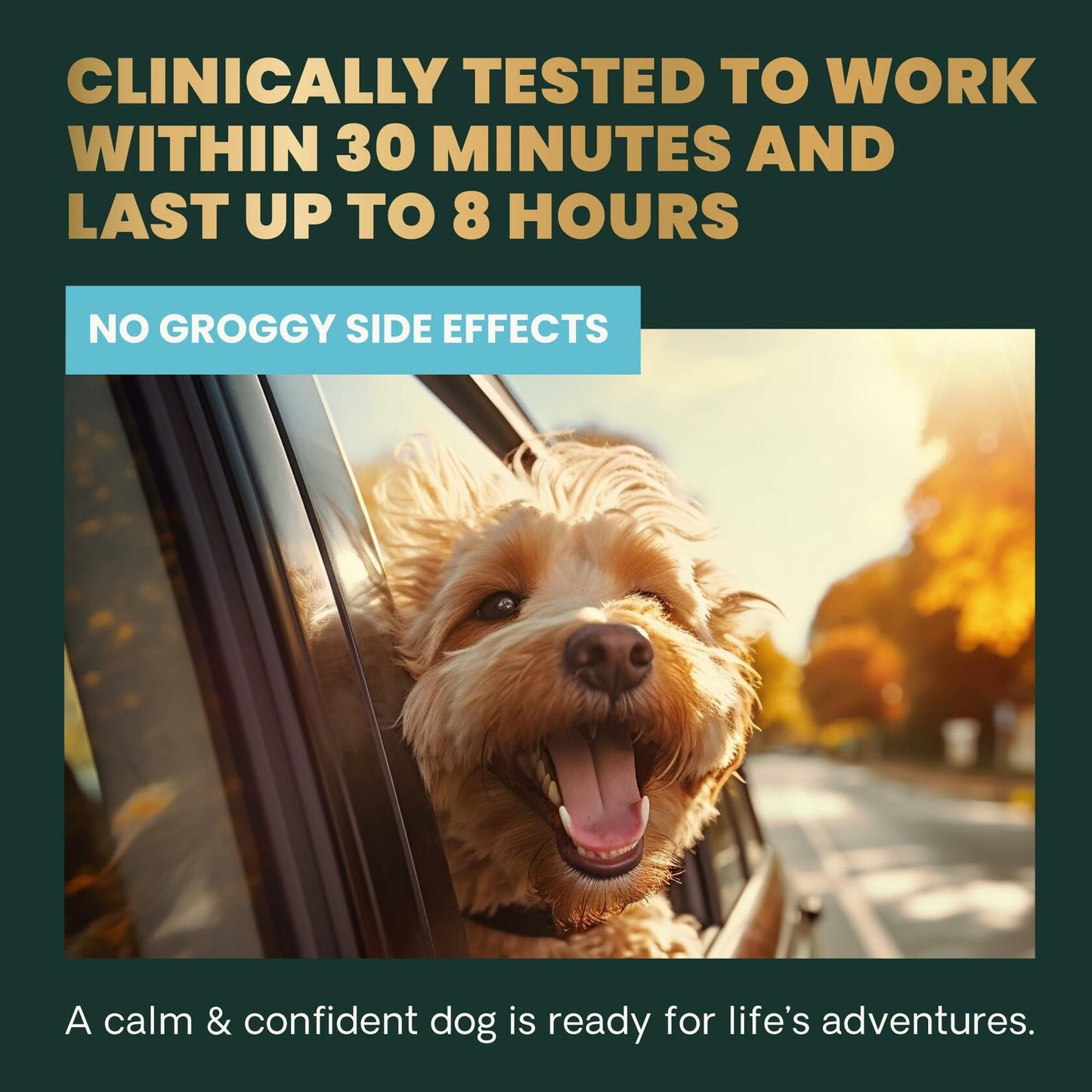 VetriScience Calm & Confident Calming Chews for Dogs Chicken 90ct