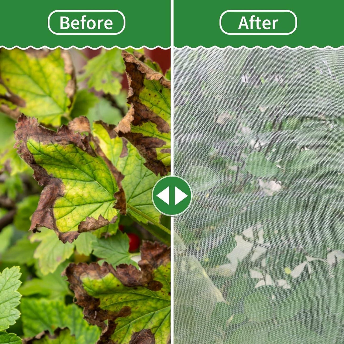 Fruit Tree Netting Cover 6 Pack 5.9x5.9 ft Ultra Fine Mesh Black Garden Netting