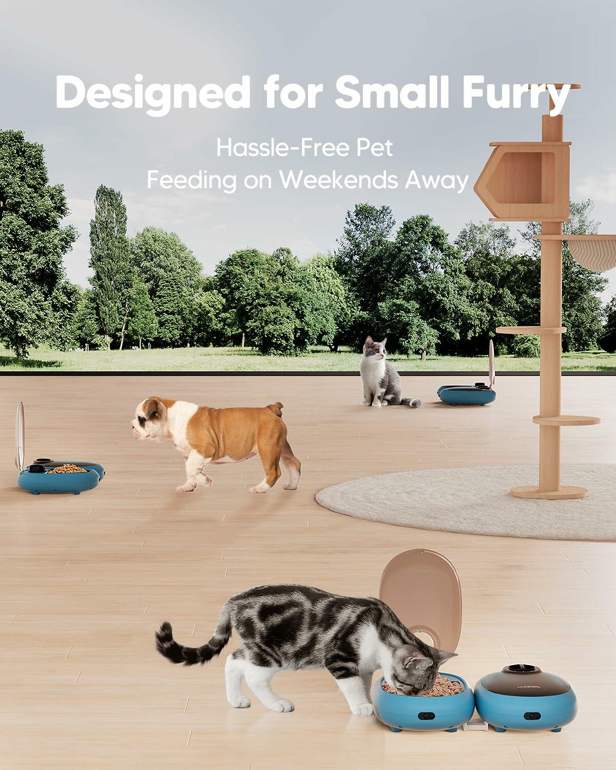 WOPET Automatic Cat Feeder 48-Hour Timer with Ice Gel Pack Yogurt Color