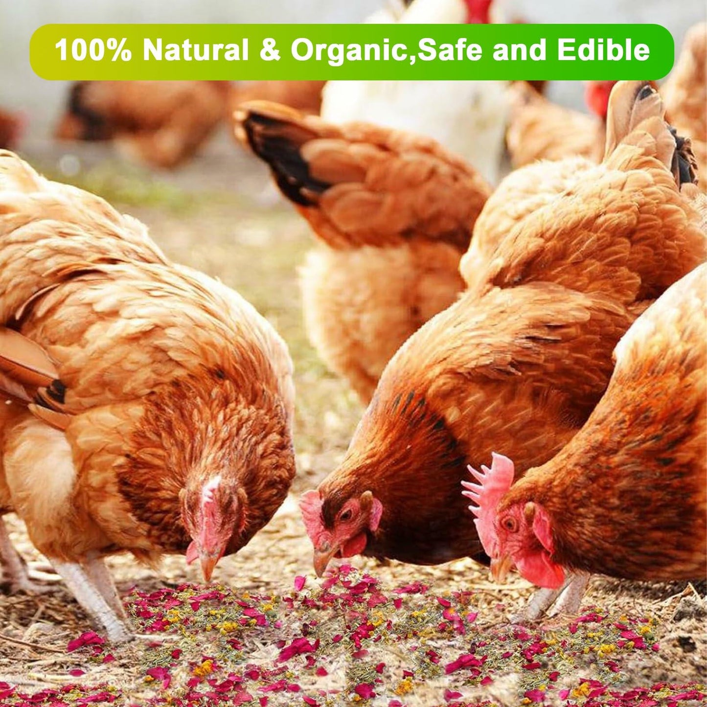 Fokzucyo Chicken Nesting Herbs 14oz Natural Premixed 8 Dried Flowers Herbs