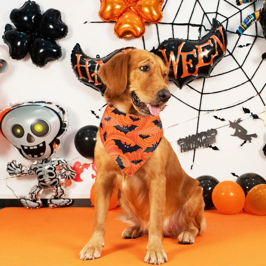 Halloween Dog Bandanas 2 Pack Adjustable Bat Spider Purple Orange Size M-L
