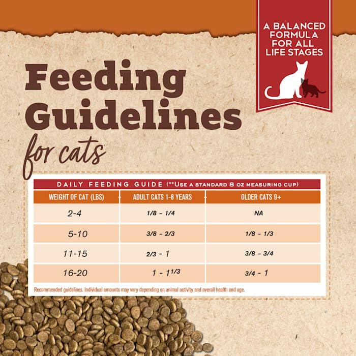 BestBy06/25 Tender & True Antibiotic-Free Turkey & Brown Rice Cat Food 7 lb