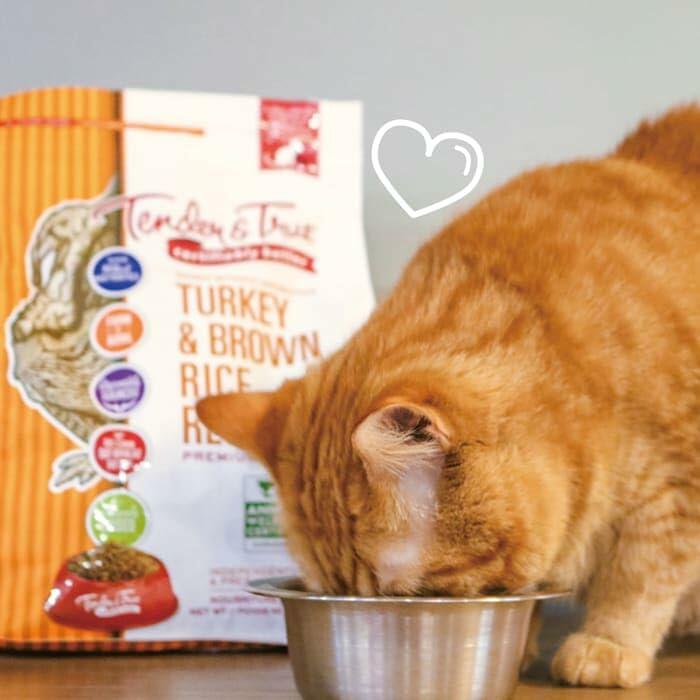 BestBy06/25 Tender & True Antibiotic-Free Turkey & Brown Rice Cat Food 7 lb