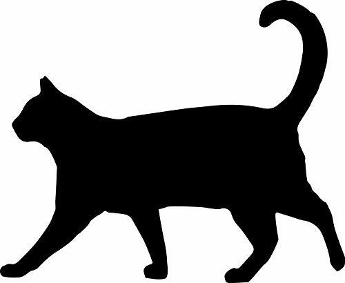 BestBy06/25 Tender & True Antibiotic-Free Turkey & Brown Rice Cat Food 7 lb