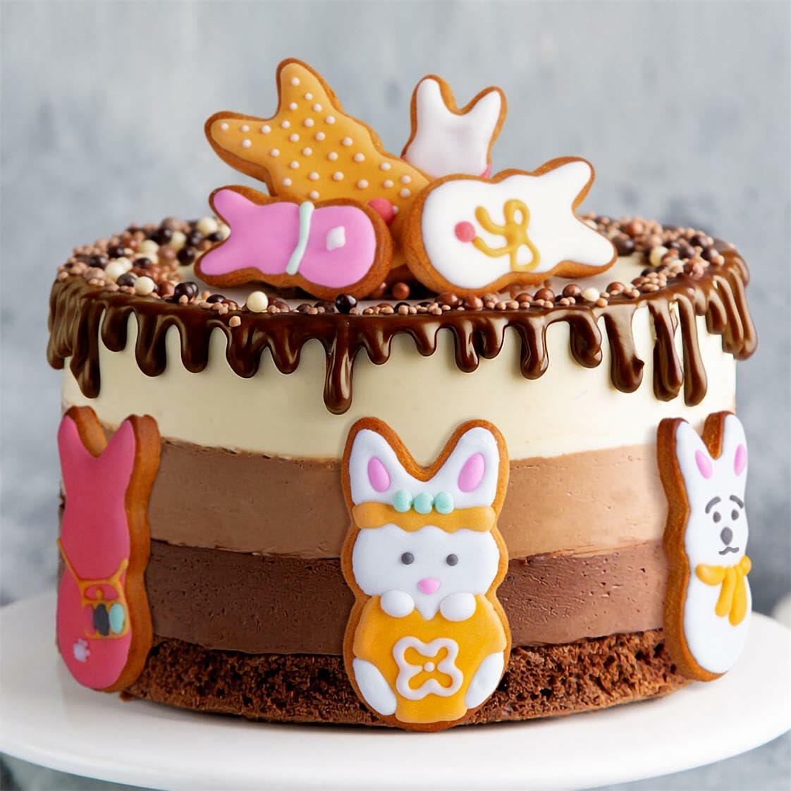 Easter Bunny Cookie Cutter Set Stainless Steel 5 Pieces Holiday Party