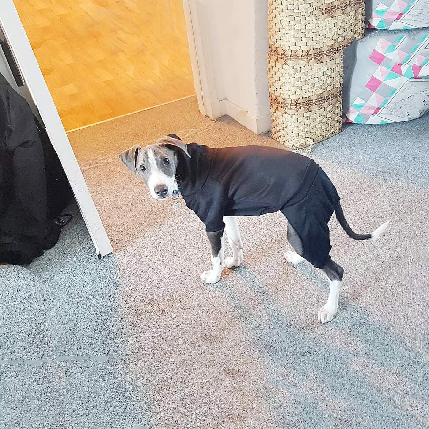Dog Hoodie Pet Jumpsuit Fleece Sweatshirt Buttons Winter Warm Cotton Size S