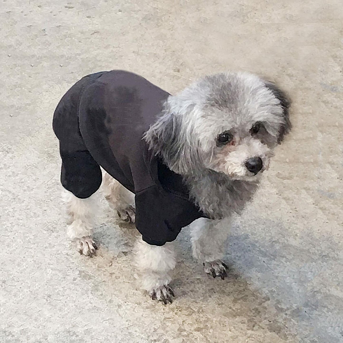 Dog Hoodie Pet Jumpsuit Fleece Sweatshirt Buttons Winter Warm Cotton Size S