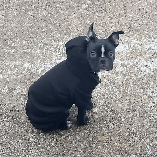 Dog Hoodie Pet Jumpsuit Fleece Sweatshirt Buttons Winter Warm Cotton Size S