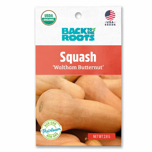 Winter Waltham Butternut Squash Seed Packet 2.8g Heirloom Planting
