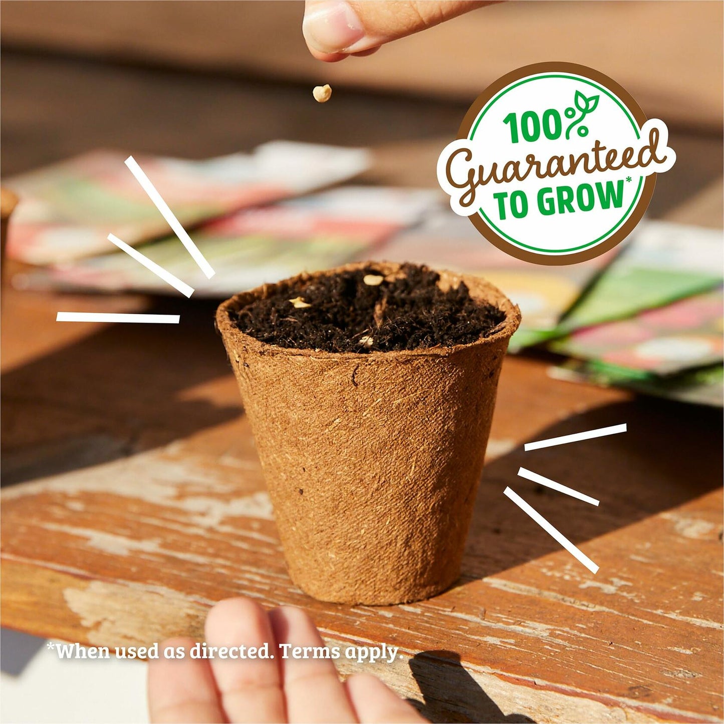 Winter Waltham Butternut Squash Seed Packet 2.8g Heirloom Planting