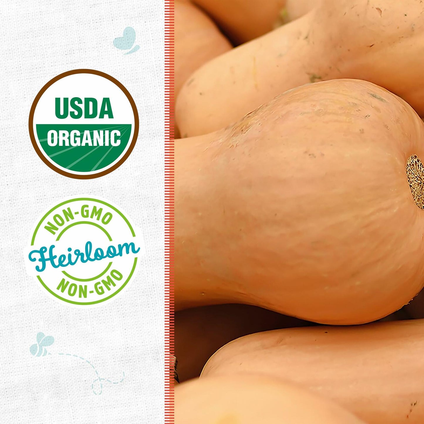 Winter Waltham Butternut Squash Seed Packet 2.8g Heirloom Planting