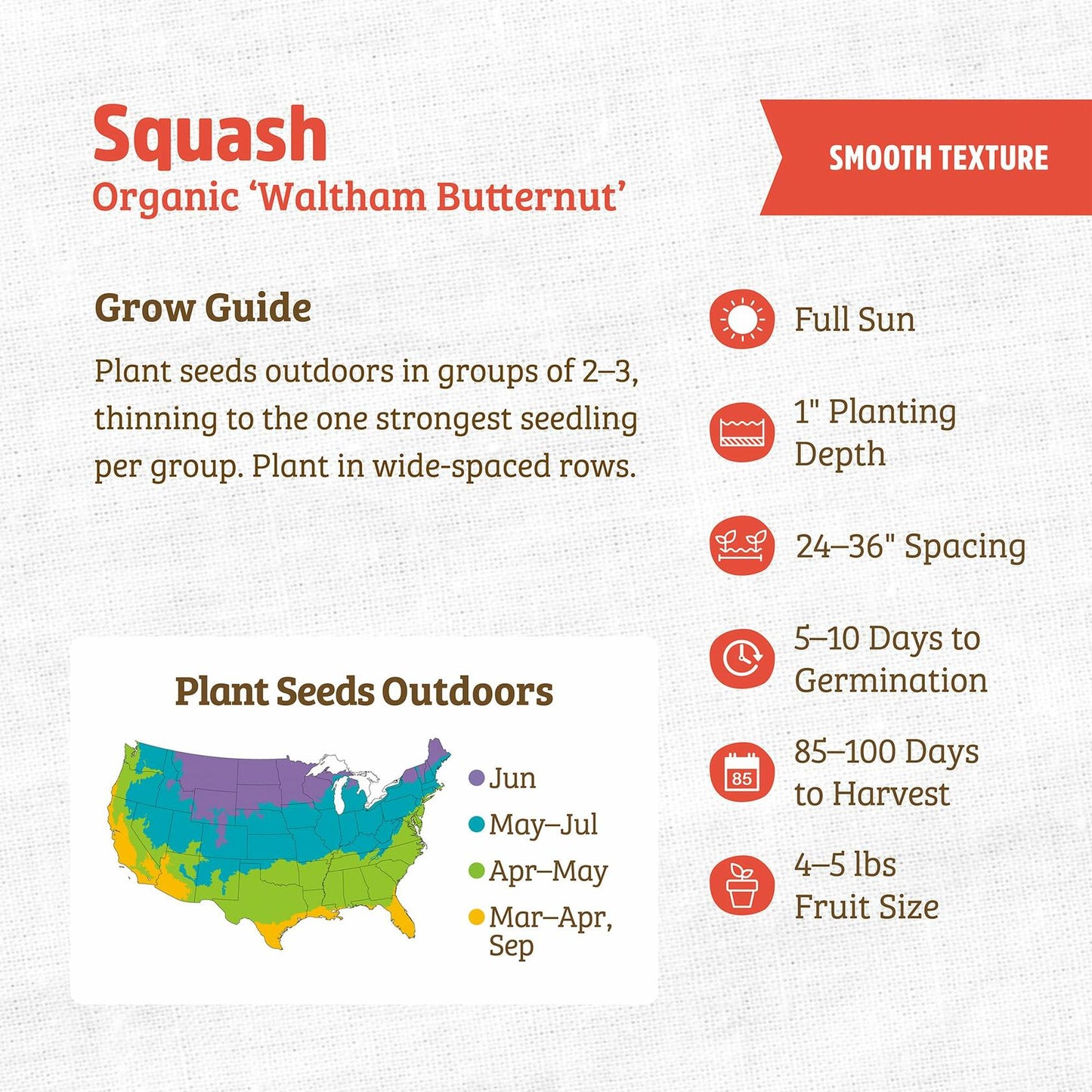 Winter Waltham Butternut Squash Seed Packet 2.8g Heirloom Planting