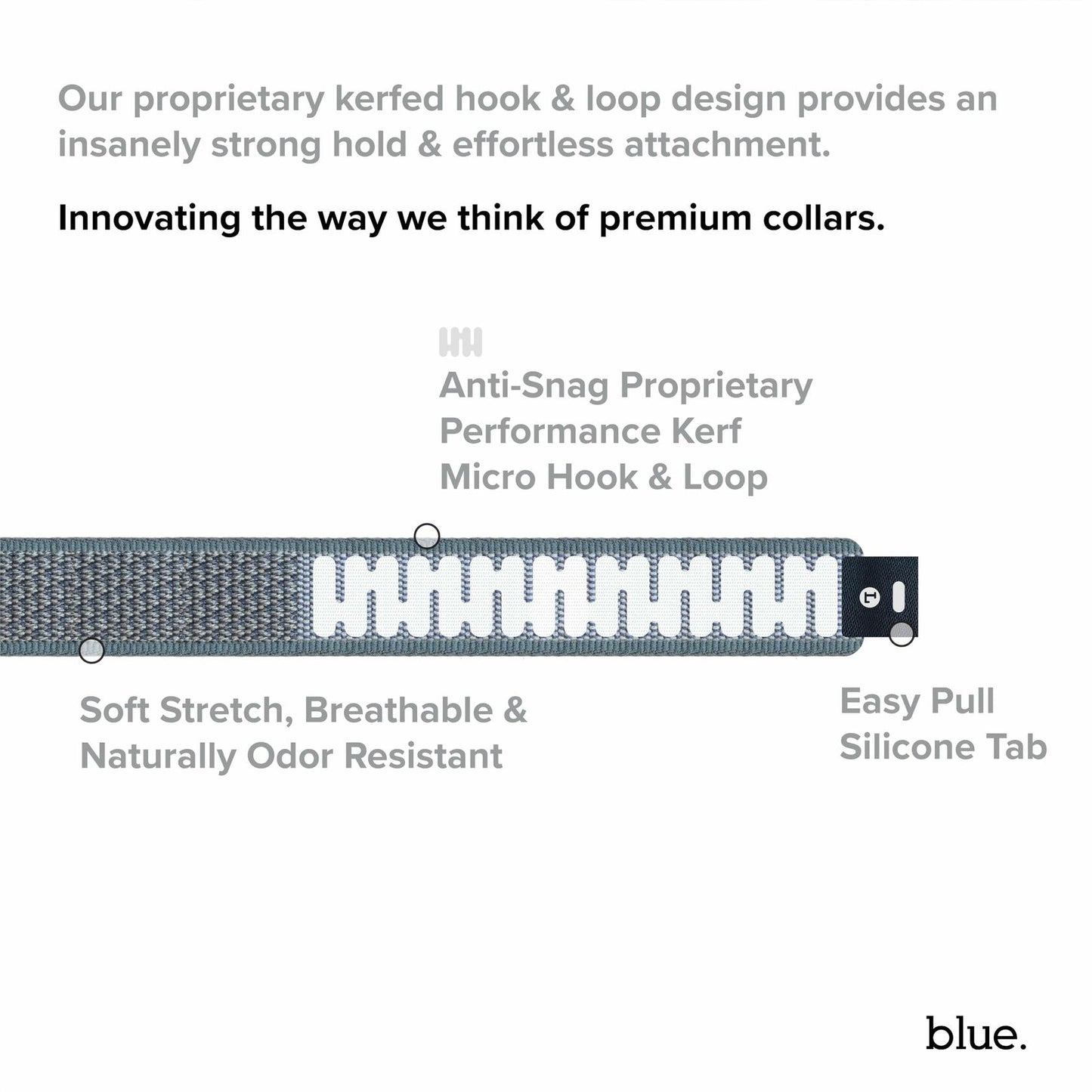Premium Dog Collar by Blue Small Feathered Rose