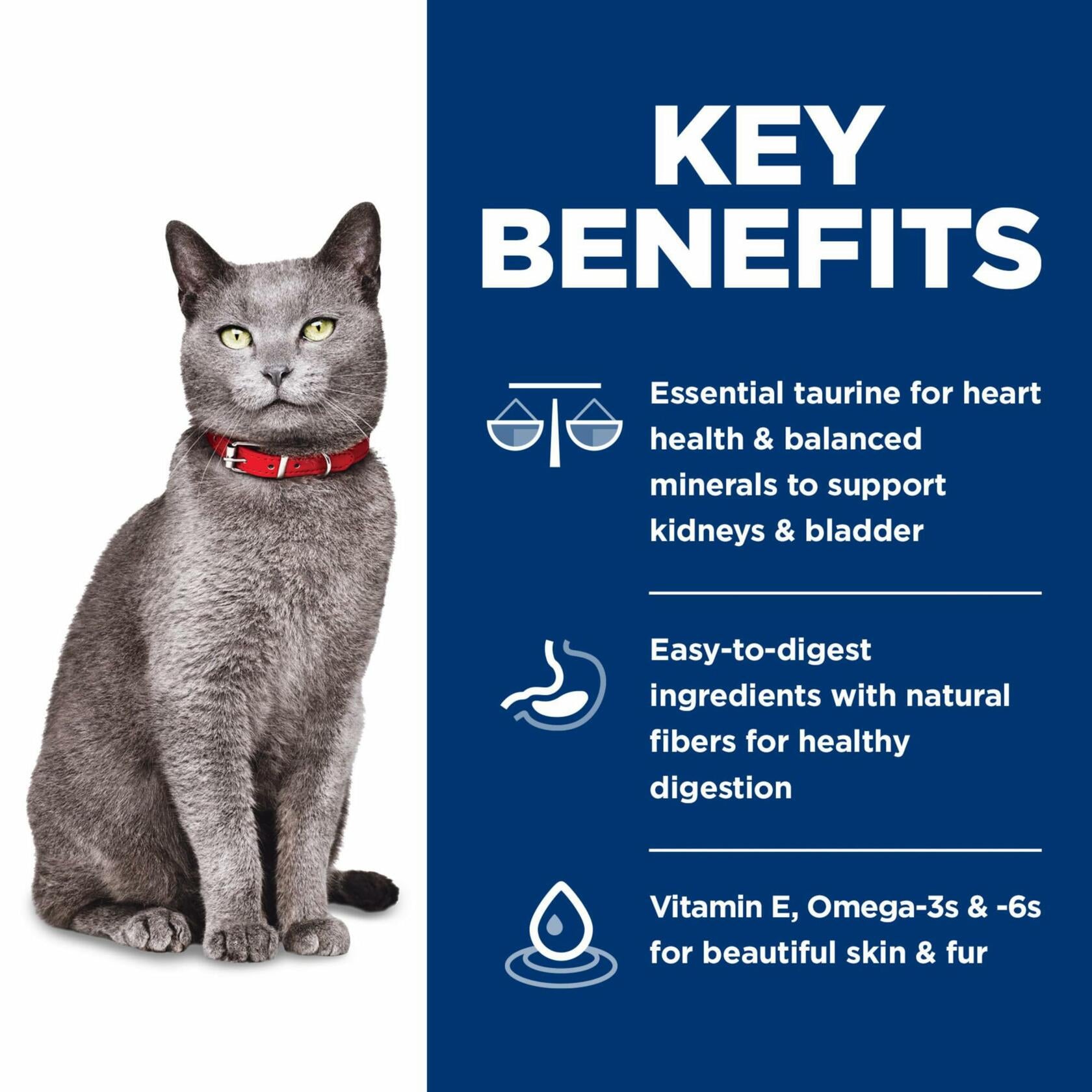 BestBy12/25 Hill's Science Diet Adult 7+ Dry Cat Food Chicken Brown Rice 3.5 lb